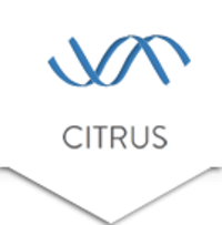 Citrus Telecommunications