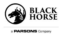 Blackhorse Solutions