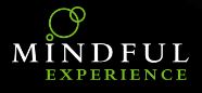 Mindful Experience