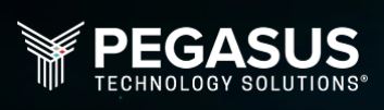 Pegasus Technology Solutions