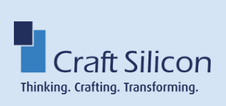 Craft Silicon