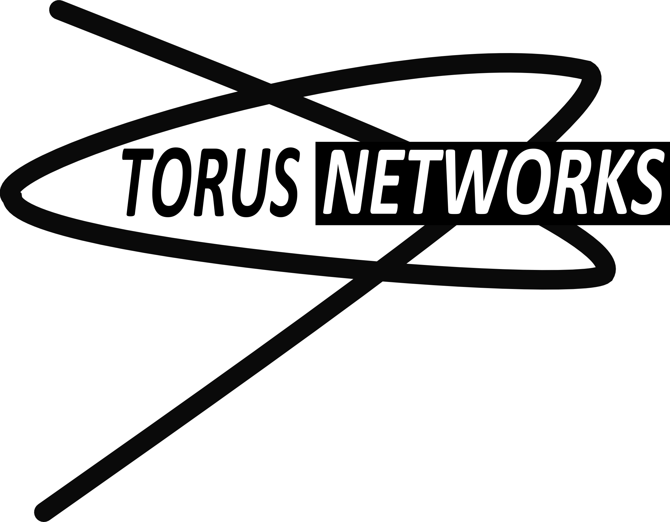Torus Networks